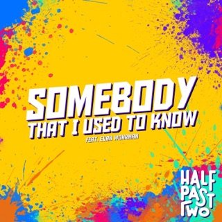 Somebody That I Used to Know (feat. Evan Wohrman)
