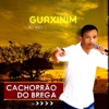 Guaxinim - Ao Vivo