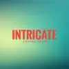 Intricate - Single album lyrics, reviews, download