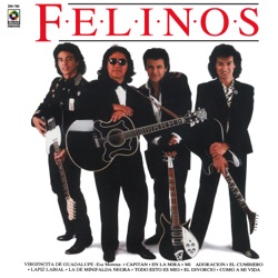 Los Felinos - Lápiz Labial