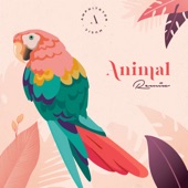 Animal - Amphitryon Remix artwork