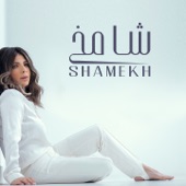 Shamekh artwork