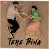 Tere Bina