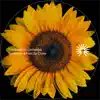 Sunflower & Feel so Close - Single album lyrics, reviews, download