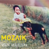 Ngabe Ngahuzuka artwork