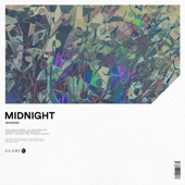 Midnight (Extended Mix) artwork