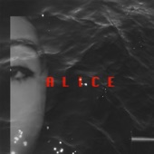 MacLaine - Alice