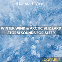 Stardust Vibes, Nature Soundzzz Club & White Noize Dream Club - Winter Wind & Arctic Blizzard Storm Sounds for Sleep (Loopable) artwork
