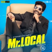 Mr. Local (Original Motion Picture Soundtrack) artwork