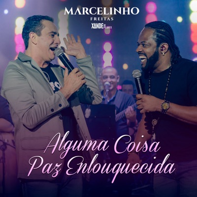 Alguma Coisa / Paz Enloquecida (Ao Vivo) - Single - Xande de Pilares