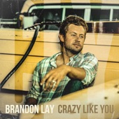 Crazy Like You artwork