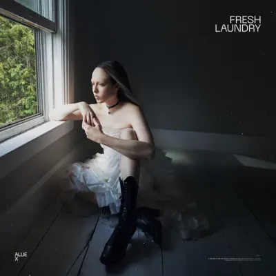 Fresh Laundry - Single - Allie X