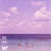 Summer Luv (feat. Crystal Fighters) [Chrome Sparks Remix] - Single album lyrics, reviews, download