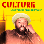 Lost Tracks from the Vault - EP - Culture