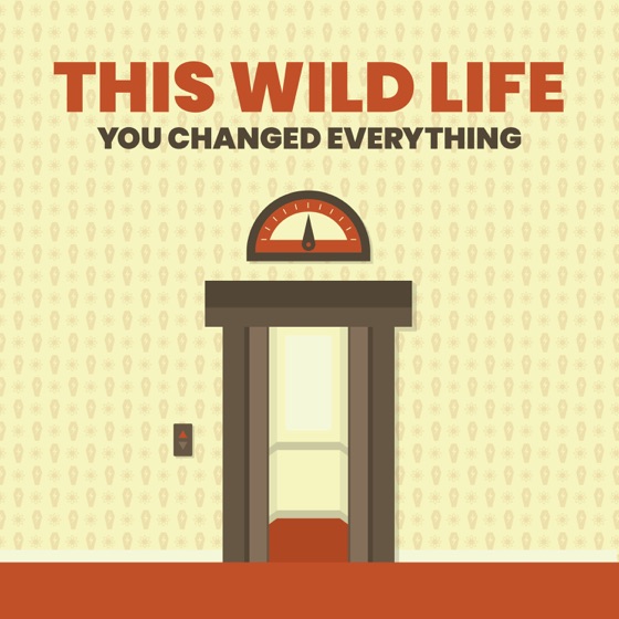 Cover artwork for You Changed Everything