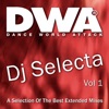 Dj Selecta, Vol. 1