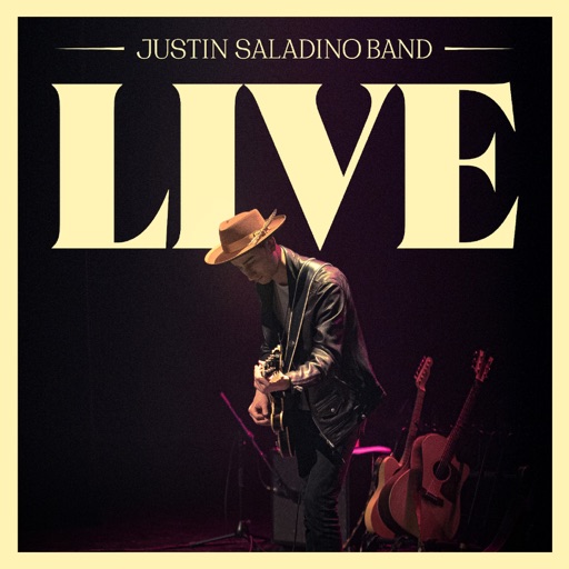 Art for Honey (Live) by Justin Saladino Band