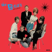 The B-52's - Party Out Of Bounds