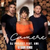 4 Camere (feat. Ami) [DJ Dark Remix] - Single