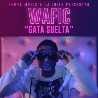 Gata Suelta (feat. DJ Luian, Echale Kike & Gemex Musix) - Single by Wafic album reviews, ratings, credits