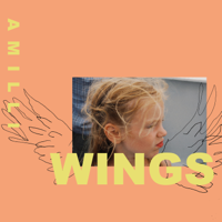 Amilli - Wings - EP artwork