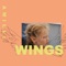 Wings artwork