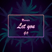 Never Let You Go artwork