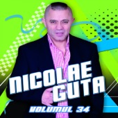 Nicolae Guta, Vol. 34 artwork