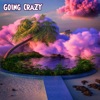 Going Crazy - Single