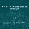 What a Wonderful World - Single album lyrics, reviews, download