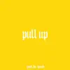 Pull Up (feat. Trillwavy & Mami Loop) - Single album lyrics, reviews, download