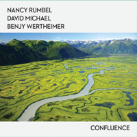 Nancy Rumbel, David Michael & Benjy Wertheimer - Confluence artwork
