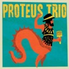Proteus Trio, 2019