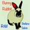 Bunny Rabbit (Radio Edit) artwork