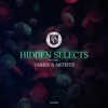 Hidden Selects, Vol. 1, 2019