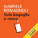 Gabriele Romagnoli - Solo bagaglio a mano