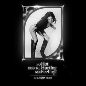 So Hot You're Hurting My Feelings (A. G. Cook Remix) - Single