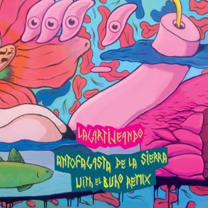 Antofogasta de la Sierra - Single