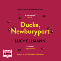 Lucy Ellmann - Ducks, Newburyport artwork