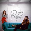 Perfect - Single