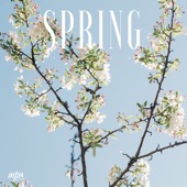 Spring (8D Audio) artwork