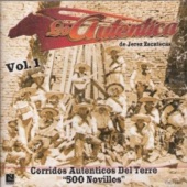 Banda La Autentica - El Caballo Mojino