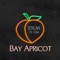 Bay Apricot (feat. EM4) - Toylah lyrics
