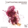 Captivating Grooves, Vol. 2