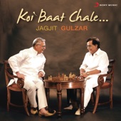 Gulzar's Recitation / Zindagi Kya Hai artwork