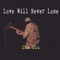 Love Will Never Lose artwork