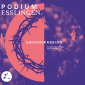 Johannespassion, BWV 245: Pt.2.No.32. Mein teurer Heiland, laß dich fragen (Arr. for tenor solo, harpsichord, organ and percussion) artwork