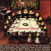 Tribute to XTC - A Testimonial Dinner artwork