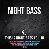 This Is Night Bass: Vol. 10 artwork