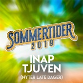 Sommertider 2019 (Nyter late dager) artwork